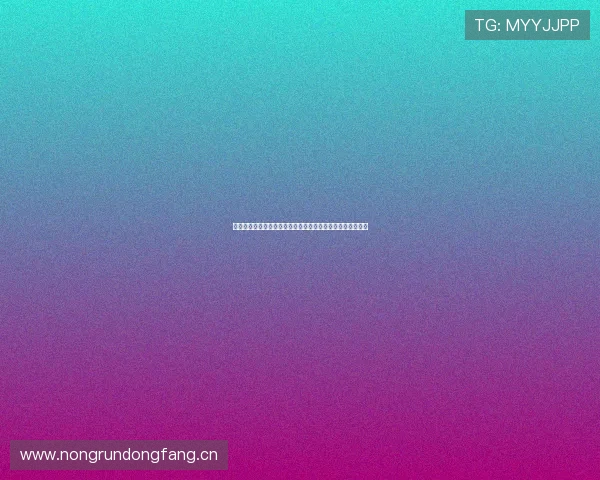 雨燕足球直播首页提供即时赛事直播和精准比分分析实时更新